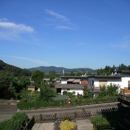 Willa Haus Panoramablick Medebach Zewnętrze zdjęcie