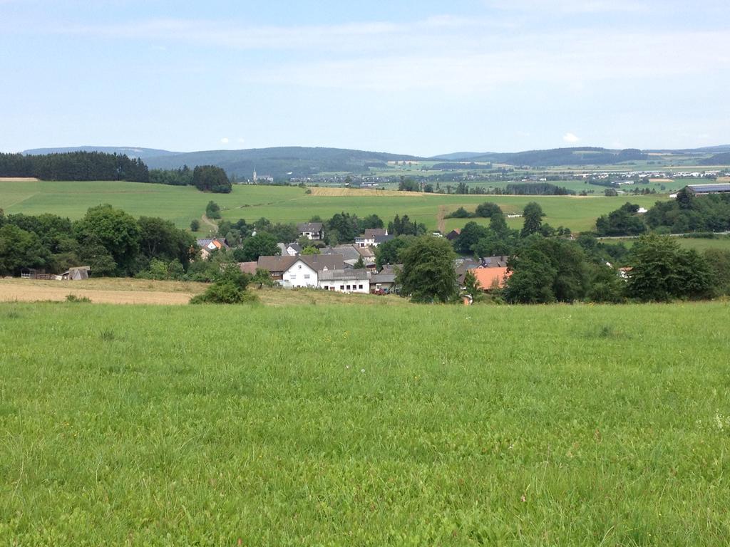 Willa Haus Panoramablick Medebach Zewnętrze zdjęcie