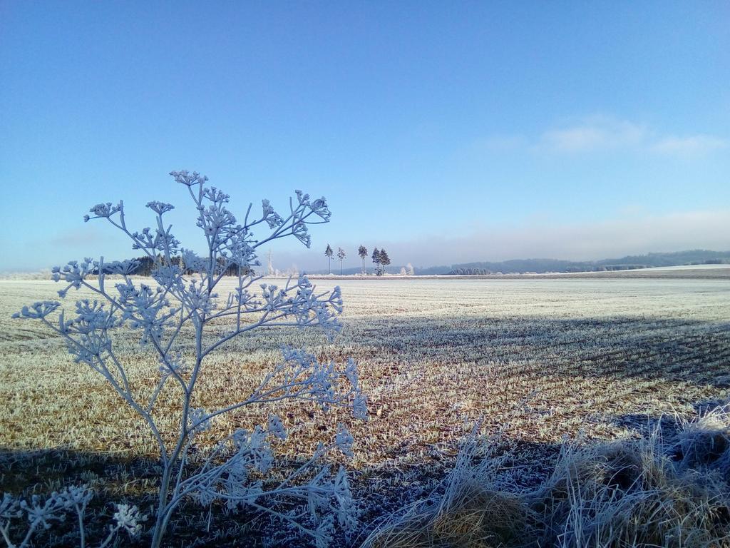 Willa Haus Panoramablick Medebach Zewnętrze zdjęcie